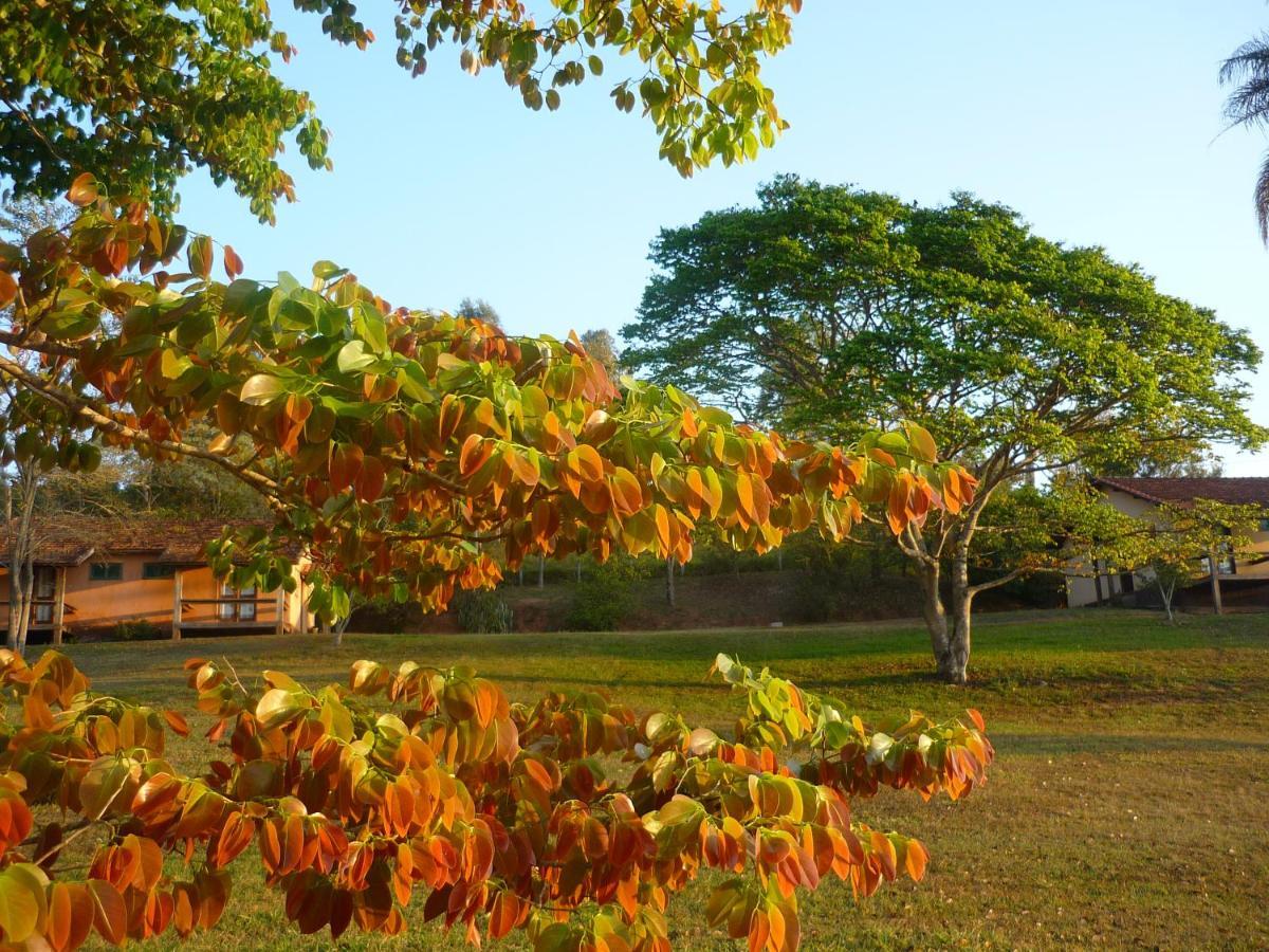 Porto Fazenda Hotel 아우페나스 외부 사진